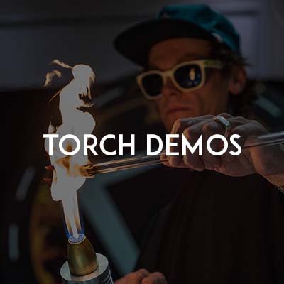 TorchDemos