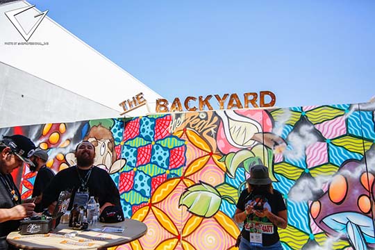 2021 - The Backyard Sign on Wall